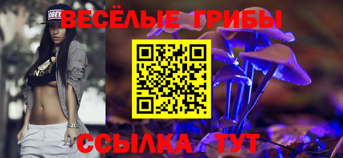 Псилоцибиновые грибы ЛСД  Галлюциногенные грибы GOLDEN TEACHER  Ейск  Вход с VPN 